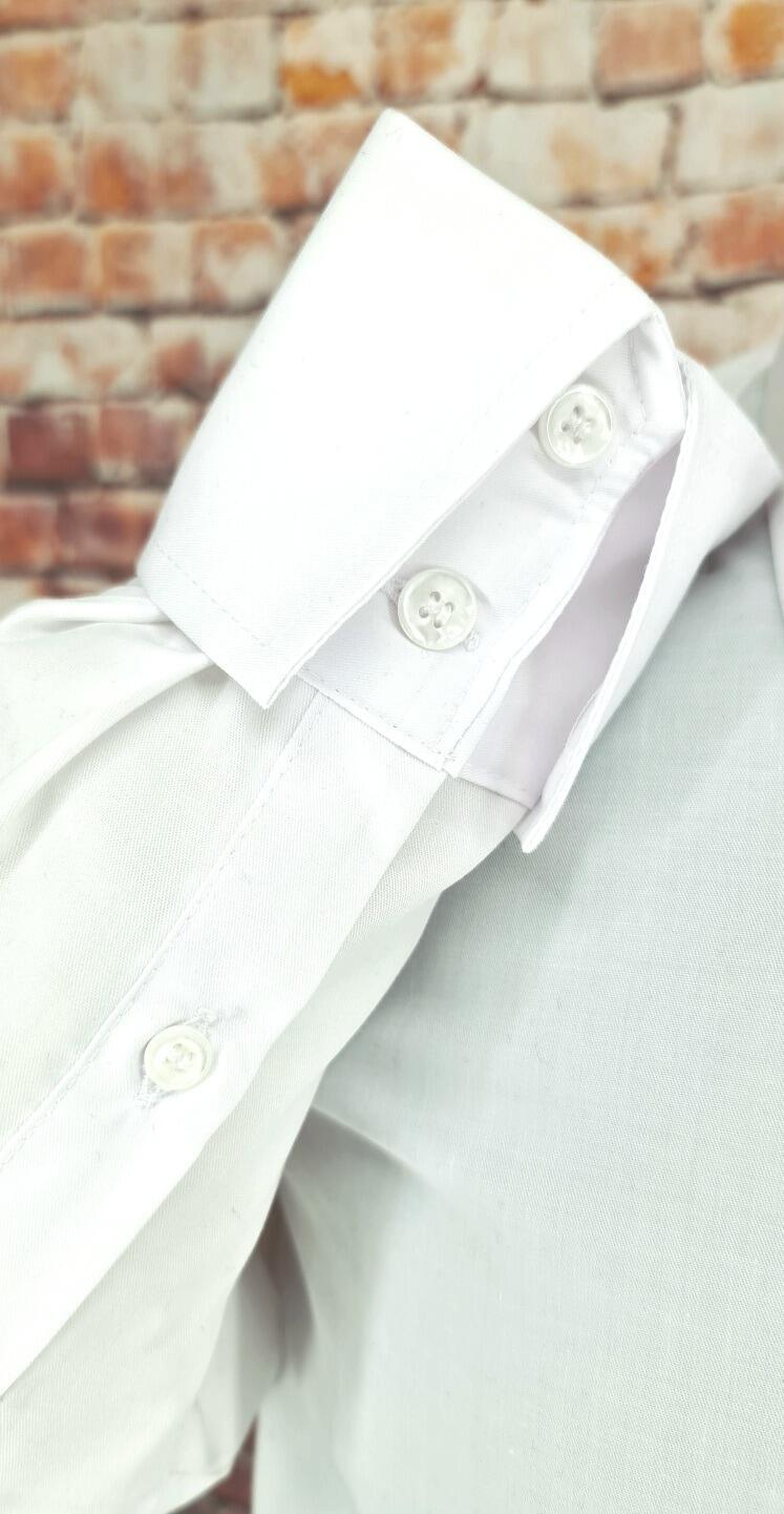Epsom Spearpoint Button Down Shirt