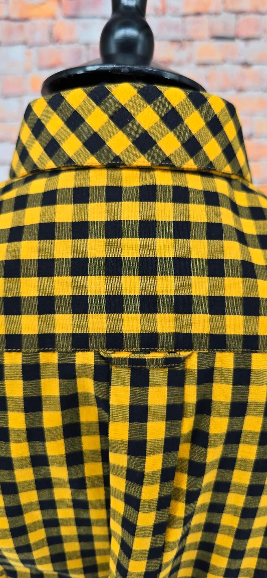 Stella - Women's Black & Gold Beagle Collar Shirt