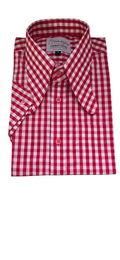 Gilbert - Red & White Gingham Beagle Collar Short Sleeve Shirt