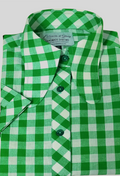 Deacon - Green Gingham Beagle Collared Shirt
