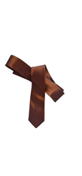 Bronze Skinny Tie