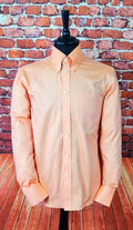 Stapleford - Peach and Gold Two Tone Button Down Collar Shirt